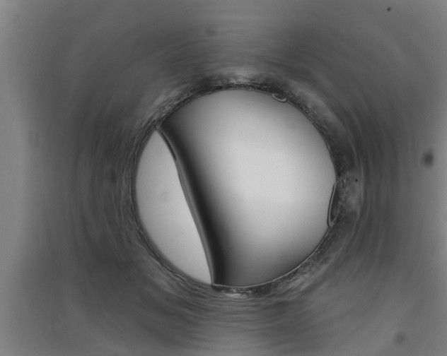 X0000091510509200708170952
