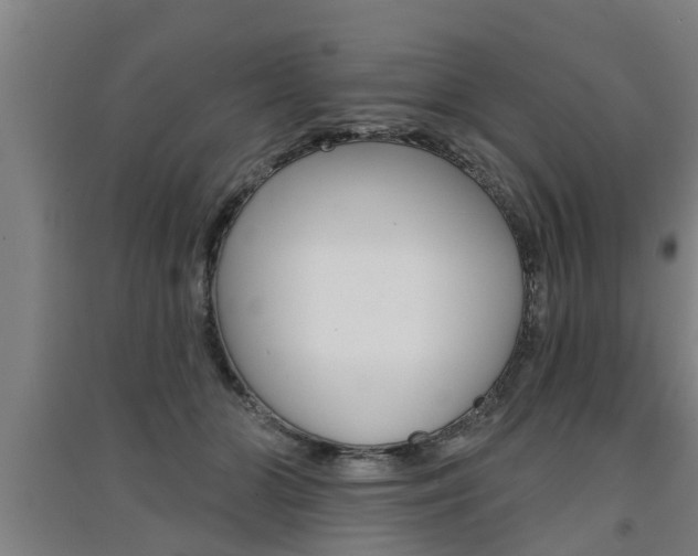 X0000091510510200708170952