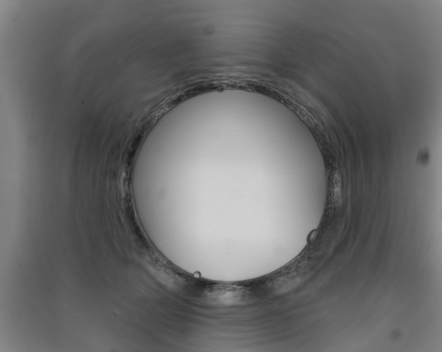 X0000091510514200708170952