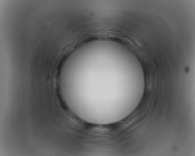 X0000091510515200708170952