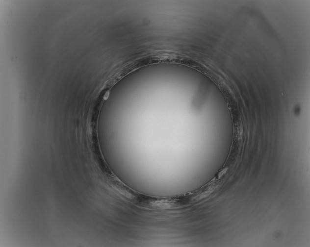 X0000091510516200708170952