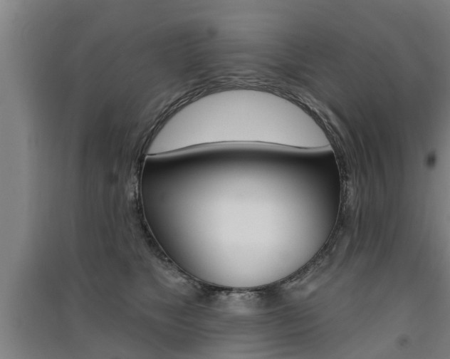 X0000091510517200708170952