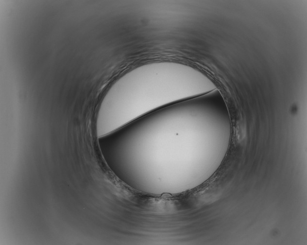 X0000091510520200708170952