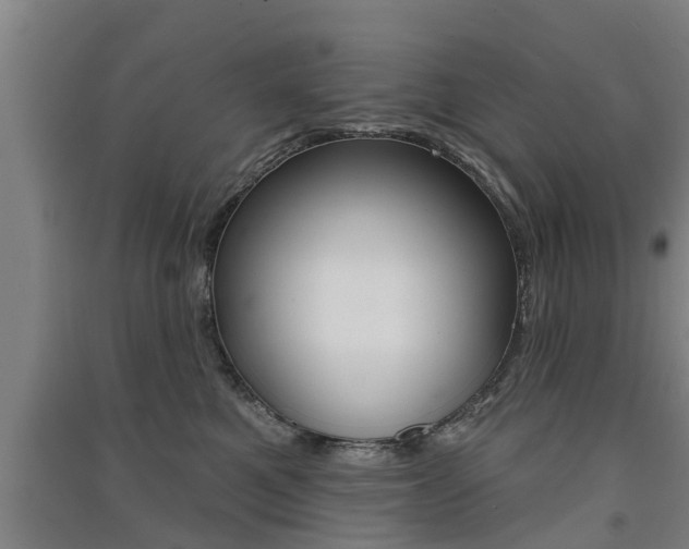 X0000091510521200708170952