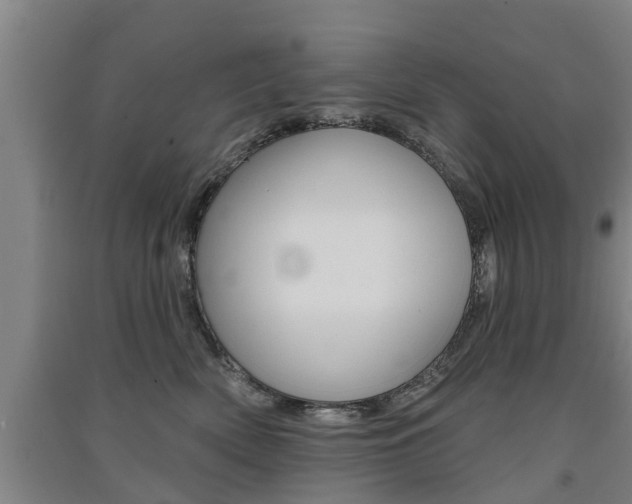 X0000091510522200708170952