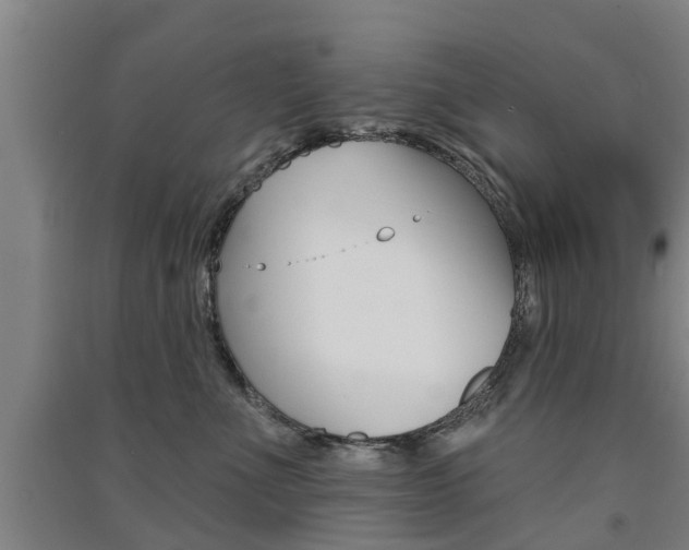 X0000091510523200708170952