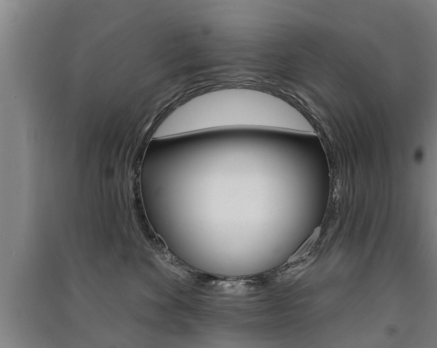 X0000091510524200708170952