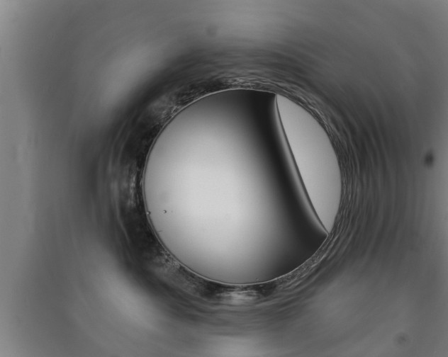 X0000091510525200708170952