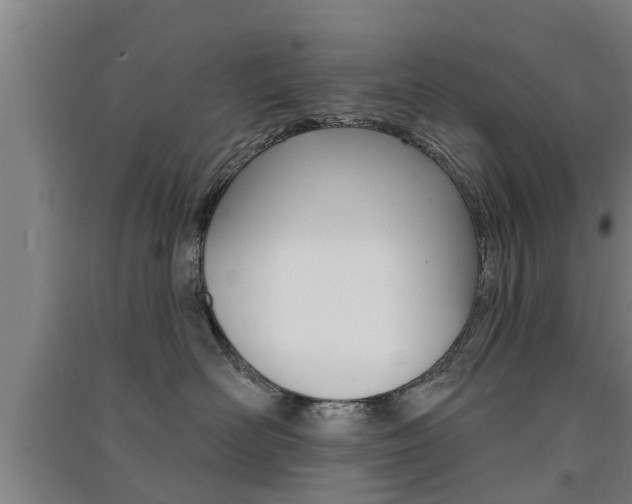 X0000091510526200708170952