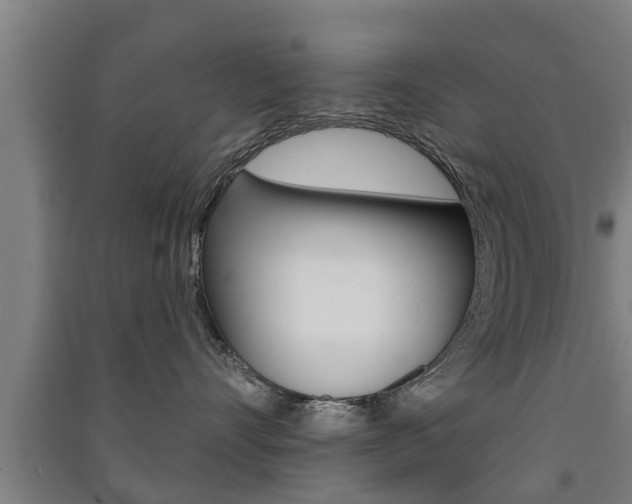 X0000091510528200708170951