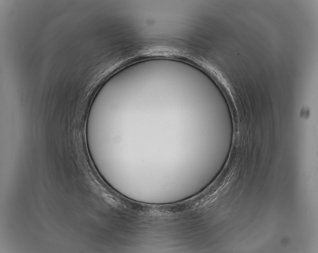 X0000091510529200708170951