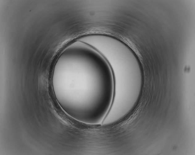 X0000091510530200708170951