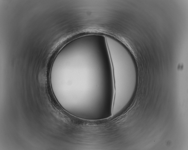 X0000091510531200708170951