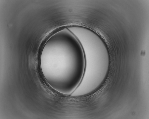 X0000091510532200708170951