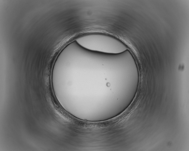 X0000091510533200708170951