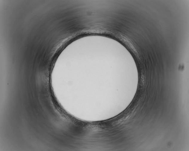 X0000091510534200708170951