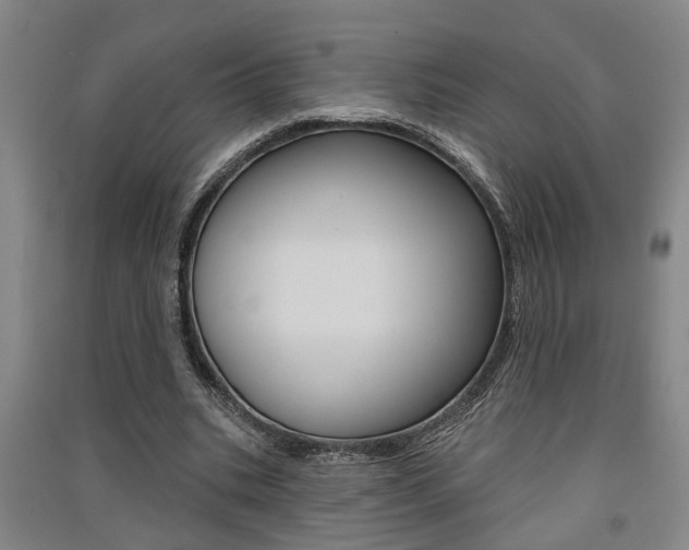 X0000091510535200708170951