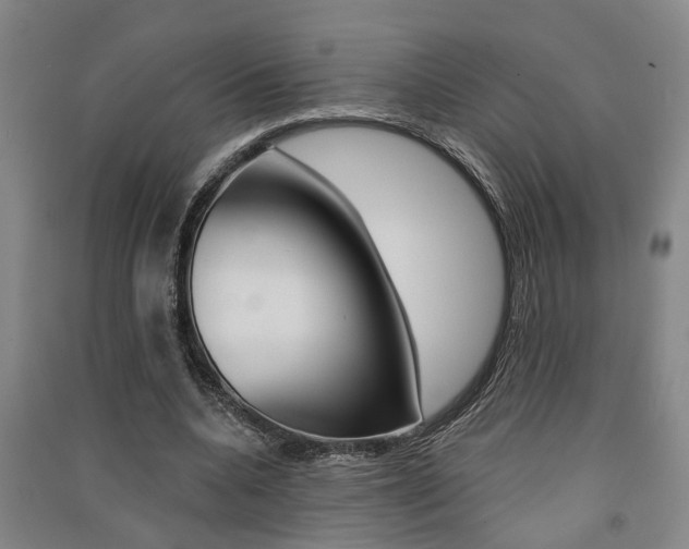 X0000091510536200708170951
