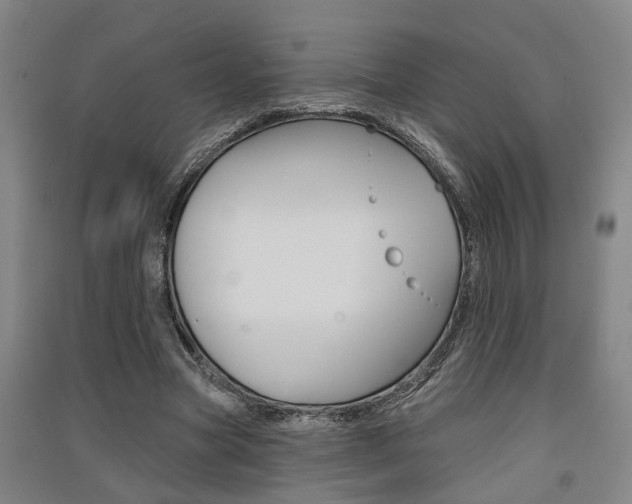 X0000091510537200708170951