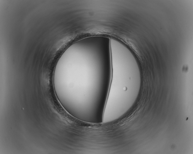 X0000091510539200708170951