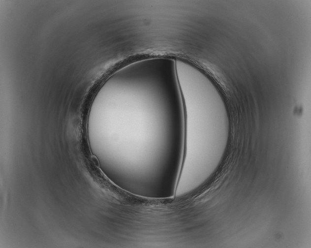 X0000091510540200708170951