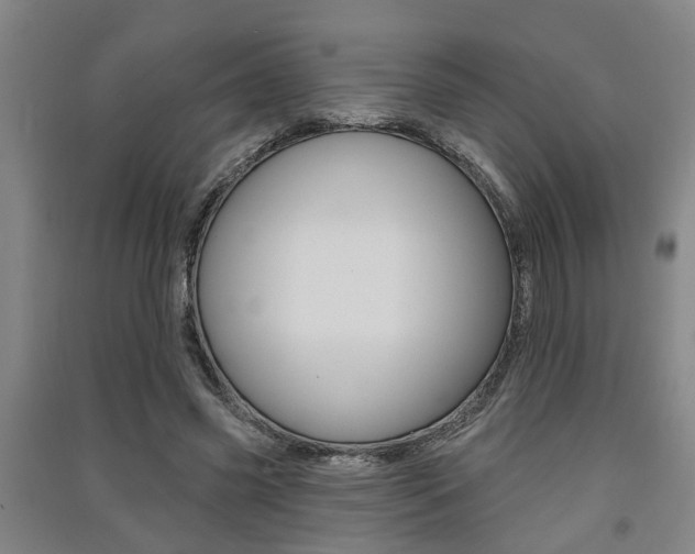 X0000091510541200708170951