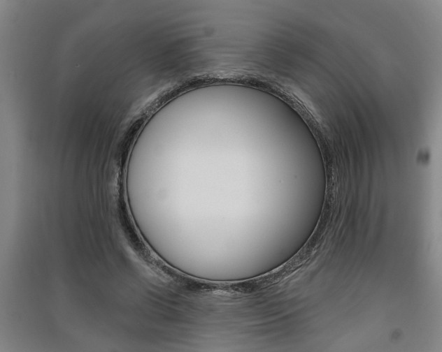 X0000091510542200708170951