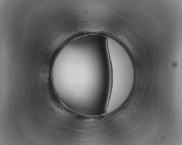 X0000091510544200708170951