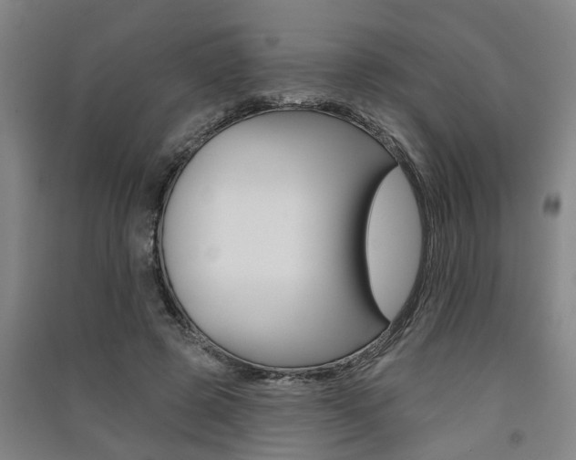 X0000091510545200708170951