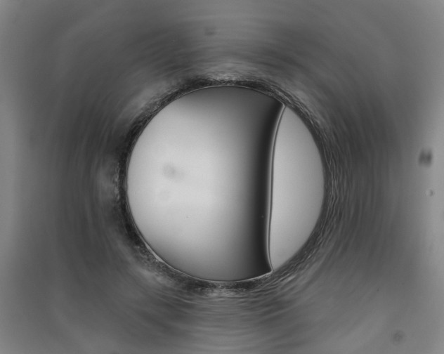 X0000091510547200708170951