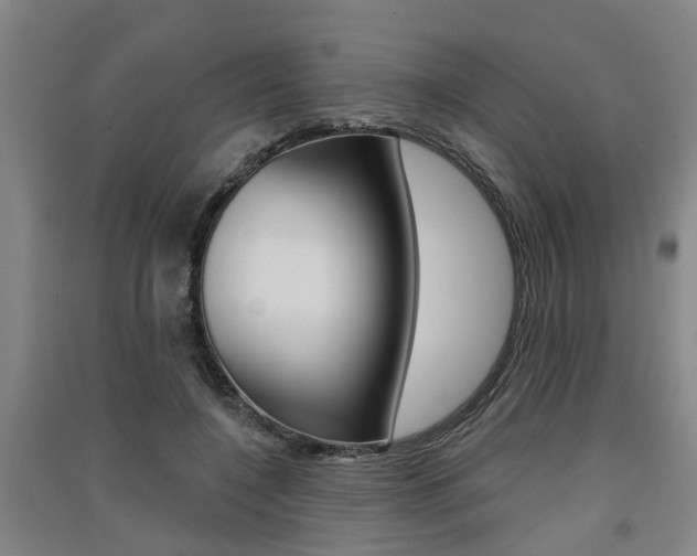 X0000091510548200708170951