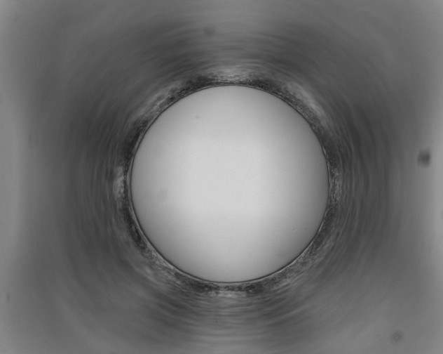 X0000091510549200708170951