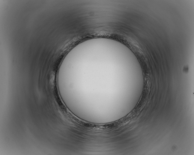 X0000091510550200708170951