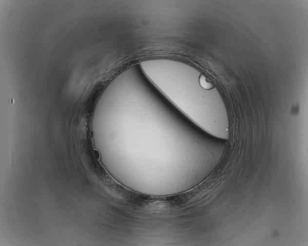 X0000091510551200708170951