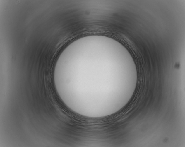 X0000091510552200708170951