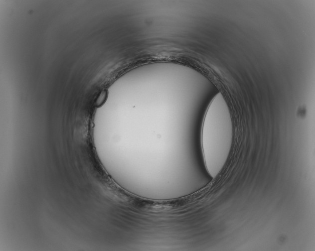 X0000091510554200708170951