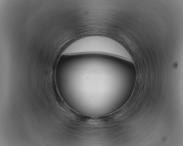 X0000091510556200708170951