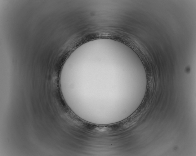 X0000091510557200708170951