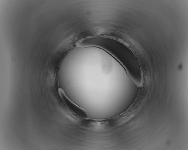 X0000091510558200708170951