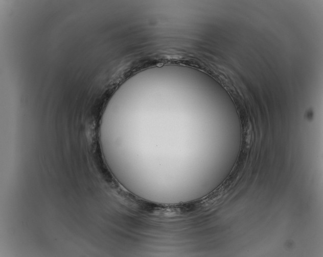 X0000091510559200708170951