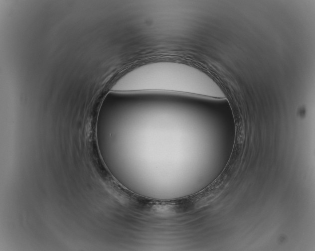 X0000091510560200708170951