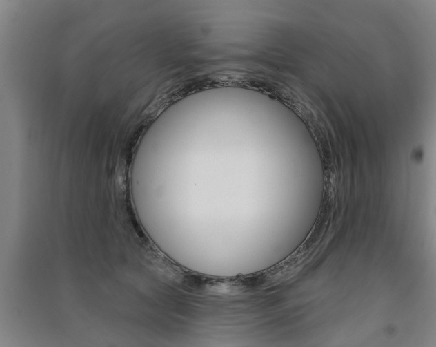 X0000091510561200708170951