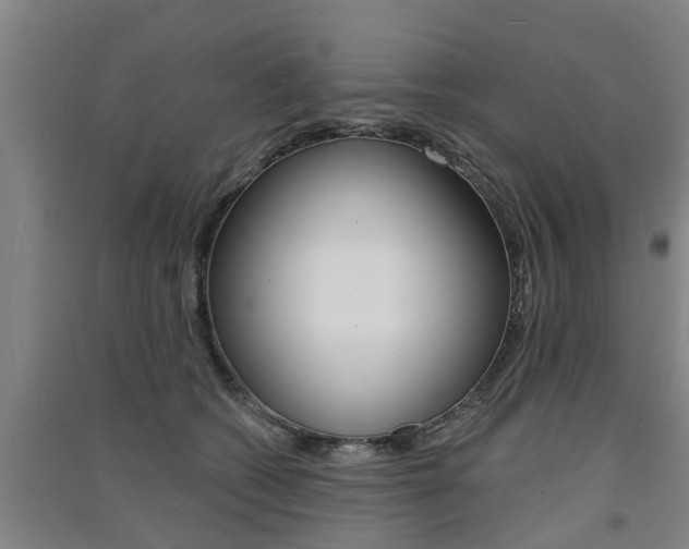 X0000091510562200708170951