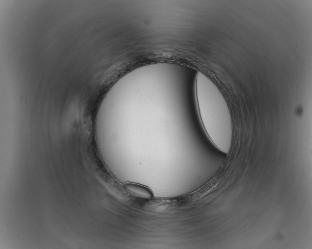 X0000091510563200708170951