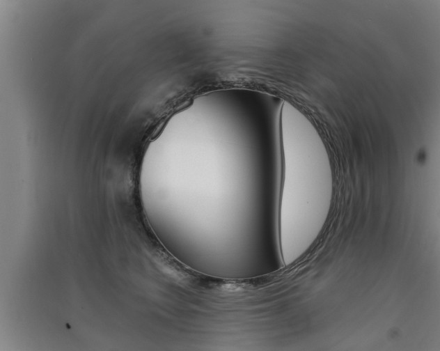 X0000091510566200708170951