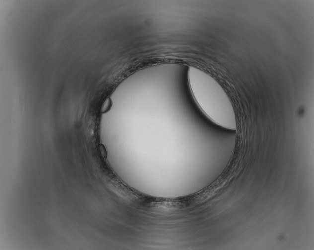 X0000091510567200708170951
