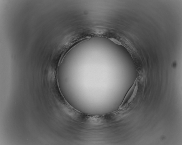 X0000091510568200708170951