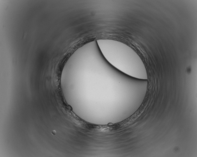 X0000091510569200708170951