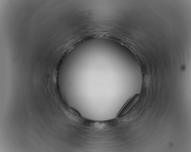 X0000091510570200708170951