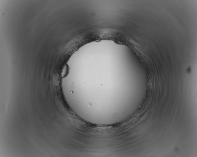 X0000091510571200708170951